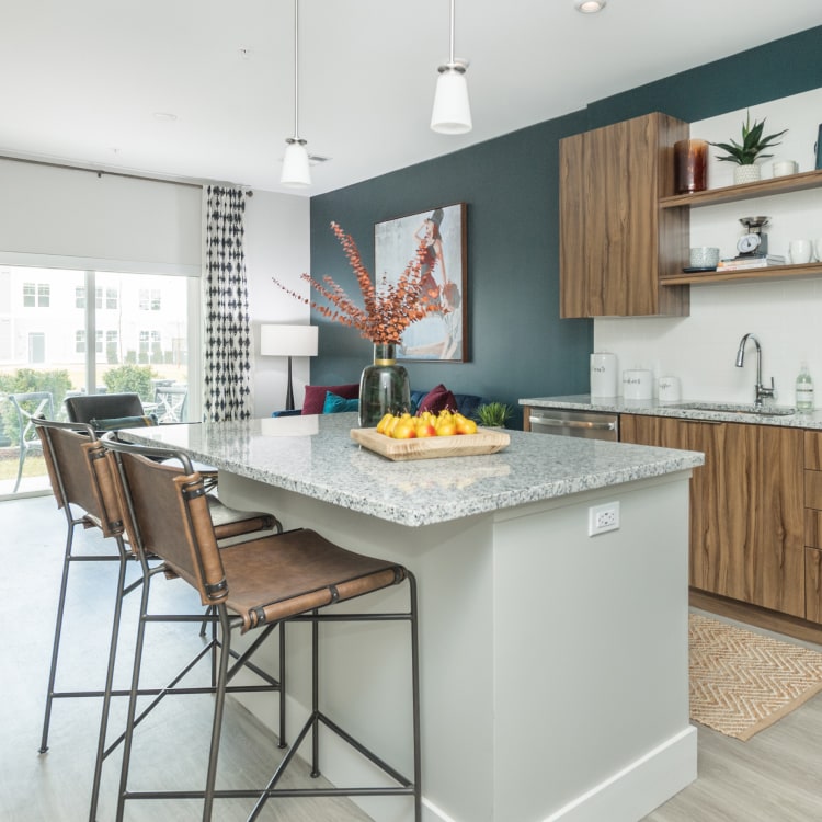 Modern apartment kitchen