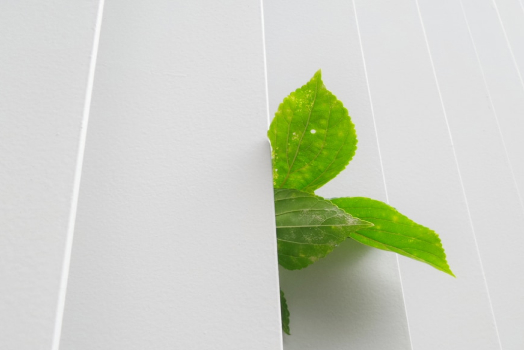 Graphic of green leaves poking through fence